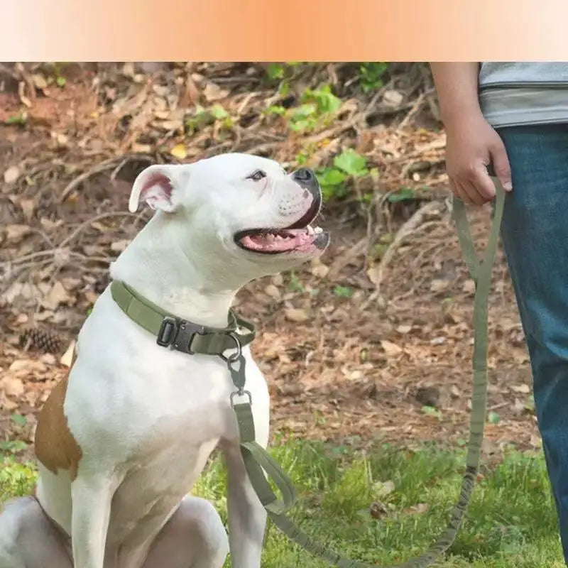 TrailMate™ Hands-Free Dog Running Leash with Waist Belt