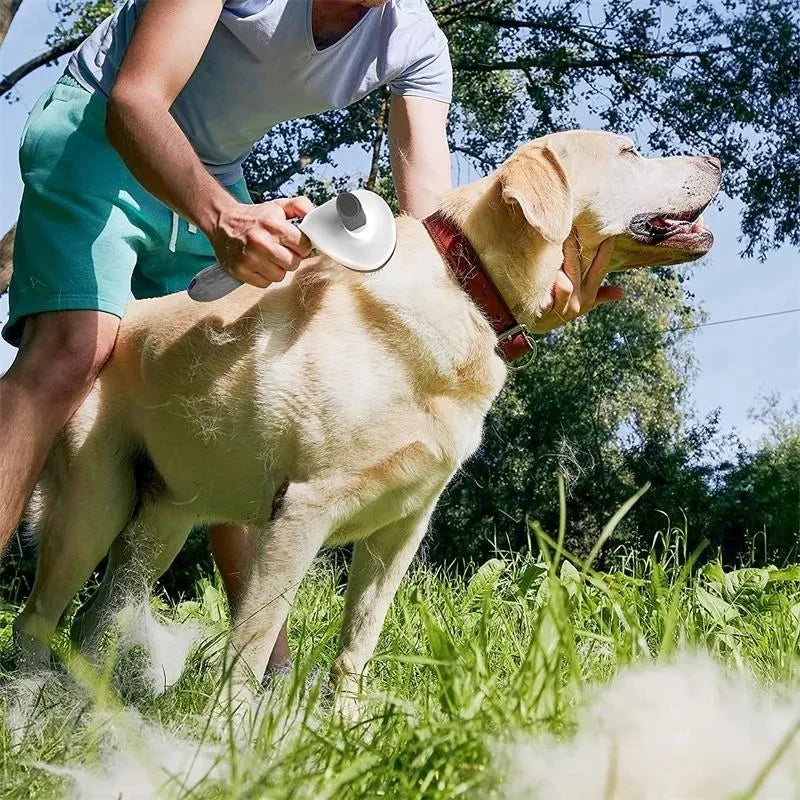 FurFresh™ Self-Cleaning Grooming Brush