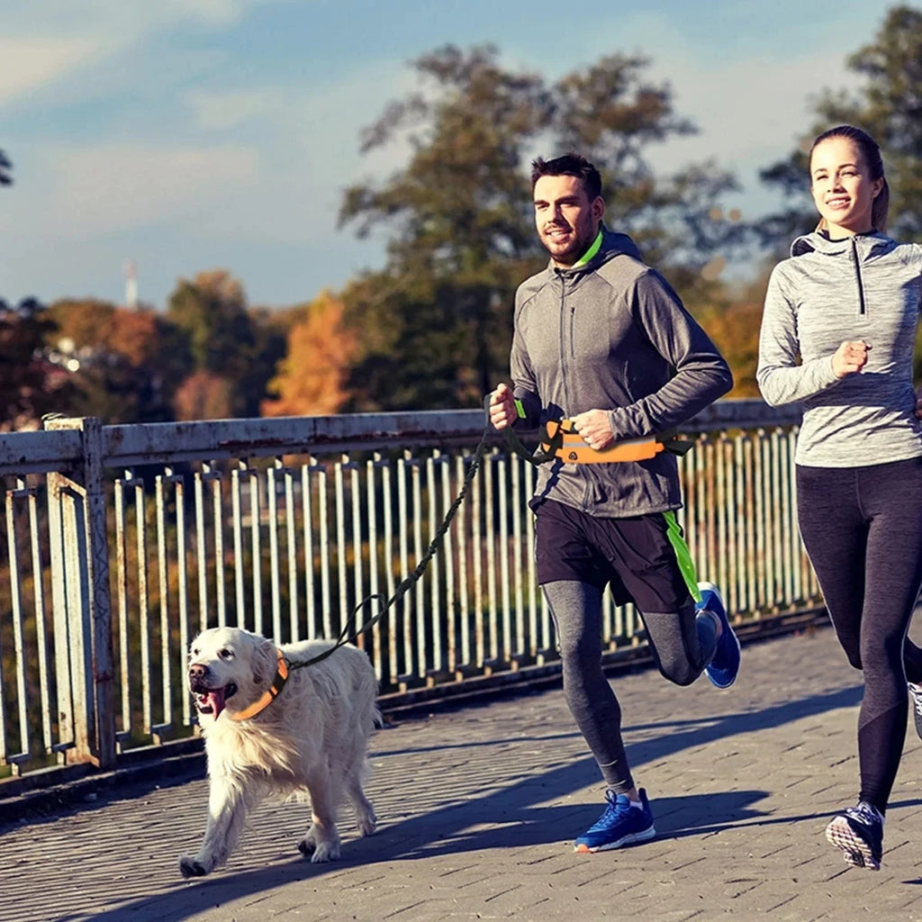 TrailMate™ Hands-Free Dog Running Leash with Waist Belt