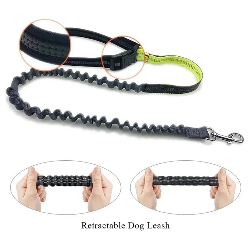 TrailMate™ Hands-Free Dog Running Leash with Waist Belt