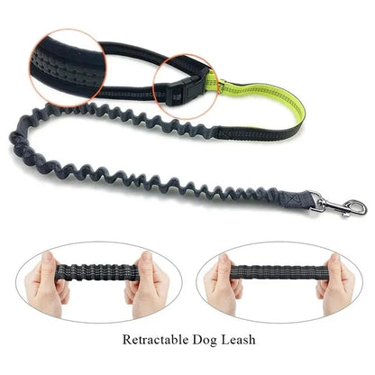 TrailMate™ Hands-Free Dog Running Leash with Waist Belt