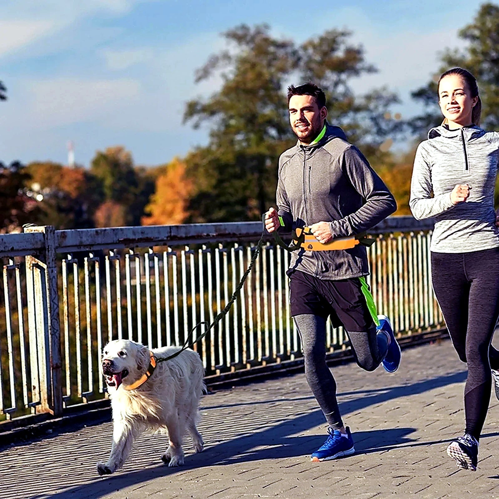 RunFree™ Hands-Free Dog Running Leash System